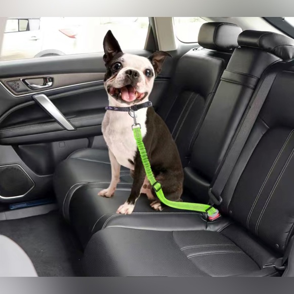 New adjustable seat belt with stretching in color blue - Picture 6 of 8